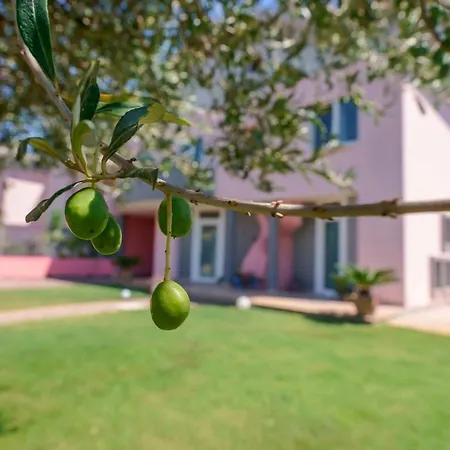 Couette-café Rosanna Capoterra