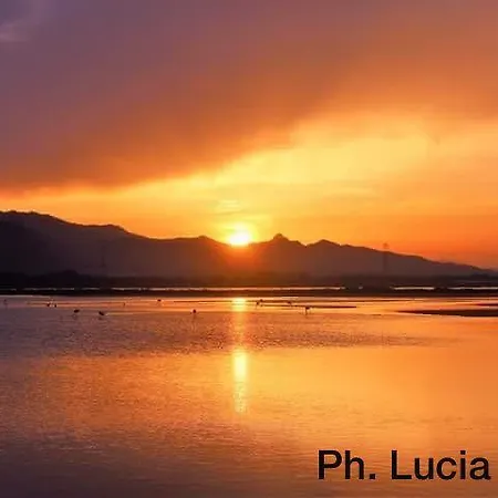 Rosanna Couette-café