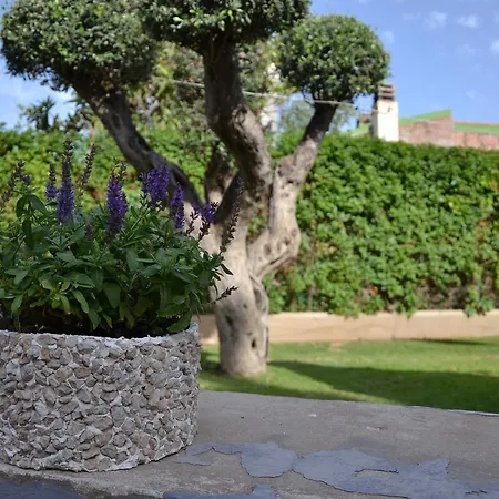 Rosanna Капотерра