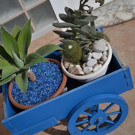 Rosanna * קאפוטרה