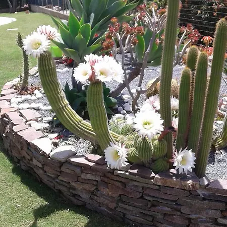 לינה וארוחת בוקר Rosanna קאפוטרה