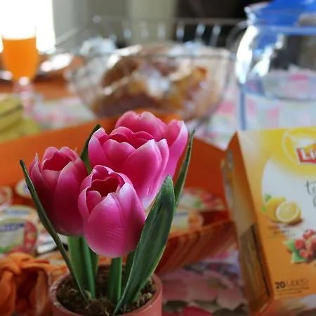 Nocleg ze śniadaniem Rosanna