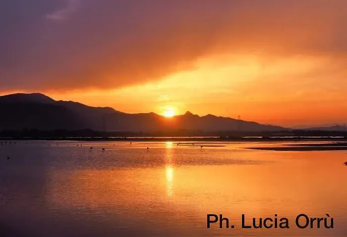 Rosanna Couette-café