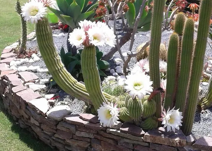 Couette-café Rosanna Capoterra